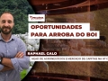 Raphael Galo - Head de Agronegócios e Mercado de Capitais na A7 Capital