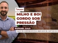 Raphael Galo - Head de Agronegócios e Mercado de Capitais na A7 Capital