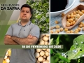 Realidades da Safra - Notícias Agrícolas
