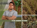 Realidades da Safra - Notícias Agrícolas