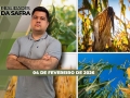 Realidades da Safra - Notícias Agrícolas