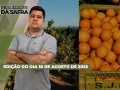 Realidades da Safra - Notícias Agrícolas