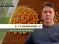Luiz Parsianello - Trader na Cerealista R. N. Perusso