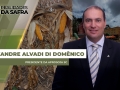 Alexandre Alvadi Di Domênico - Presidente da Aprosoja SC