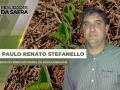 Paulo Renato Stefanello - Presidente do Sindicato Rural de Sidrolândia/MS