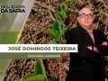 José Domingos Teixeira - Engenheiro Agrônomo