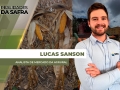 Lucas Sanson - Analista de Mercado da Agrural