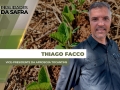 Thiago Facco - vice-presidente da Aprosoja Tocantins