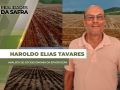 Haroldo Elias Tavares - Analista de Socioeconomia da Epagri/Cepa