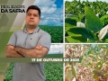 Realidades da Safra - Notícias Agrícolas