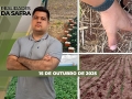 Realidades da Safra - Notícias Agrícolas