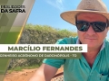 Marcílio Fernandes Marangoni - Engenheiro Agrônomo de Darcinópolis - TO