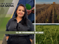 Realidades da Safra - Notícias Agrícolas
