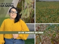 Realidades da Safra - Notícias Agrícolas