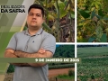 Realidades da Safra