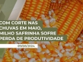 Silvésio de Oliveira - Produtor Rural da região de Tapurah/MT