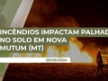Paulo Zen - Presidente do Sindicato Rural de Nova Mutum/MT