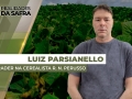 Luiz Parsianello - Trader na Cerealista R. N. Perusso