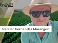 Marcílio Fernandes Marangoni - Engenheiro Agrônomo de Darcinópolis - TO
