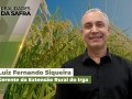 Luiz Fernando Siqueira - Gerente da Extensão Rural do Irga