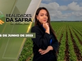 Realidades da Safra - Notícias Agrícolas