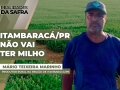 Mário Teixeira Marinho Neto - Produtor Rural na Região de Itambaracá/PR