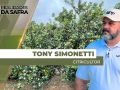 Tony Simonetti - Citricultor