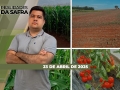 Realidades da Safra - Notícias Agrícolas