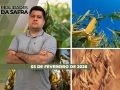 Realidades da Safra - Notícias Agrícolas