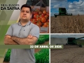 Realidades da Safra - Notícias Agrícolas