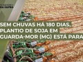 Tiago Machado - Produtor Rural na região de Guarda-Mor/MG