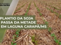 Antônio Rodrigues Neto - Técnico Agrícola da Casa da Lavoura de Dourados