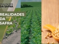 Realidades da Safra