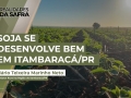 Mário Teixeira Marinho Neto - Produtor Rural na Região de Itambaracá/PR