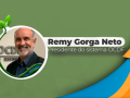 Remy Gorga Neto