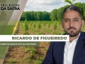 Ricardo de Figueiredo - Diretor Executivo da NetZero