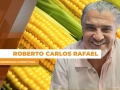 Roberto Carlos Rafael - Germinar Corretora