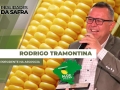 Rodrigo Tramontina - Presidente na AssoSoja