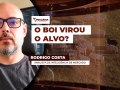 Rodrigo Costa - Analista de Inteligência de Mercado