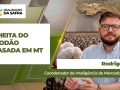 Rodrigo Silva - Coordenador de Inteligência de Mercado do IMEA