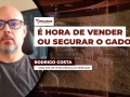 Rodrigo Costa - Analista de Inteligência de Mercado