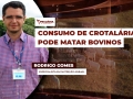 Rodrigo Gomes - Especialista em Nutrição Animal