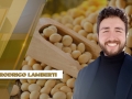 Rodrigo Lamberti - Especialista em Gestão de Riscos para Grãos da Hedgepoint
