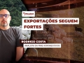Rodrigo Costa - Analista da PINE Agronegócios e Contribuidor no TC Investimentos