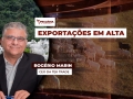 Rogério Marin - CEO da Tek Trade