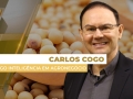 Carlos Cogo - Cogo Inteligência em Agronegócio
