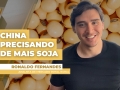 Ronaldo Fernandes - Analista de Mercado Royal Rural