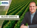 Elcio Ghioto - Empresário, Advogado e Contador