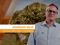 Amarildo Silva - Doutor em ciência animal - ATTO Sementes