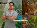 Realidades da Safra - Notícias Agrícolas